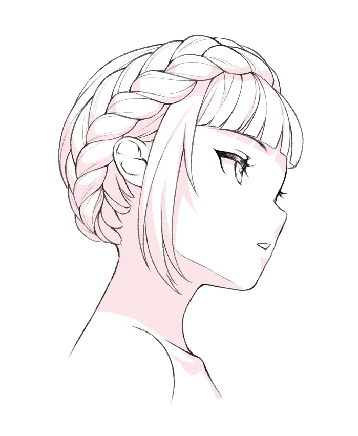 Braidied Drawing Anime Hairstyles