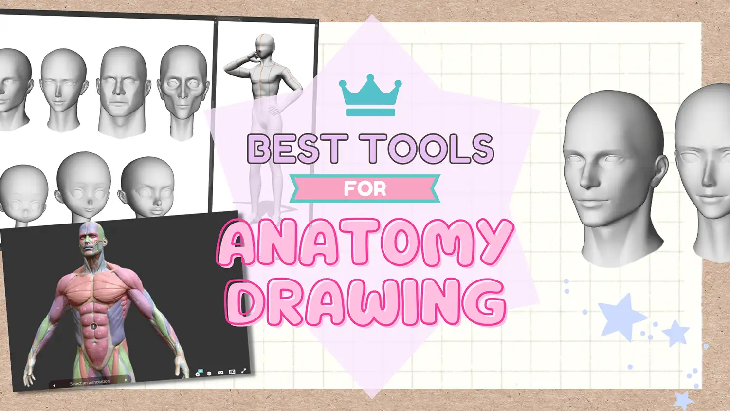 The Top Best Tools for Mastering Human Anatomy Drawing – LUNAR ☆ MIMI